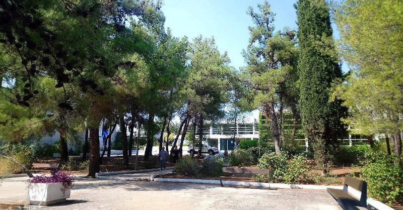 The Greek Educational System